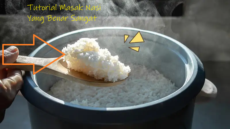 tutorial masak nasi